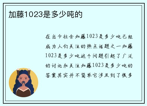 加藤1023是多少吨的
